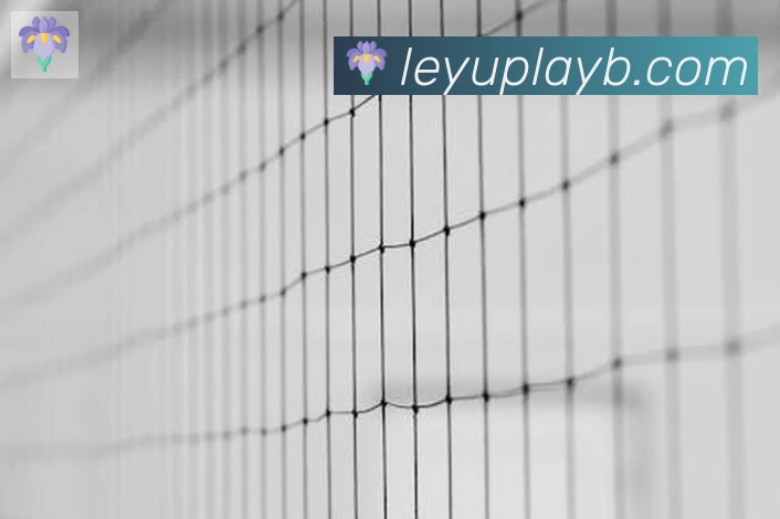 leyuAPP 高清赛事图